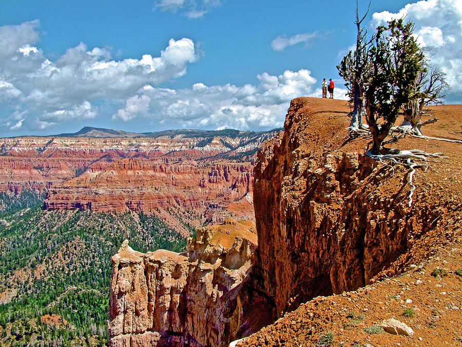 Rampart Overlook on Ramparts Trail in Cedar Breaks National Monument, Utah Photograph by Ruth Hager