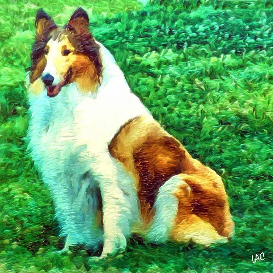 Ramsey - Collie Painting by Doggy Lips