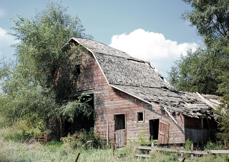 Summer Photograph - Ramshackle  by Jame Hayes
