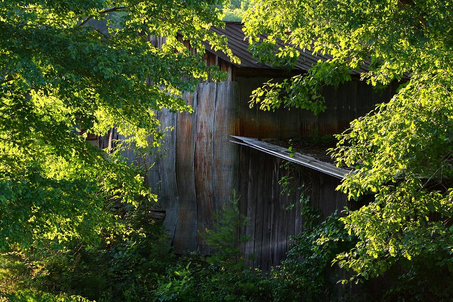 Barn Photograph - Ramshackle Shack in the Summer by Kathryn Meyer