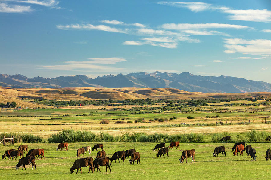Ranch and Range Photograph by Todd Klassy
