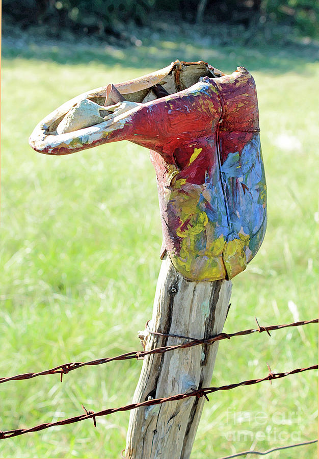 Barb Wire Fence Photograph - Ranch Art by Joe Pratt