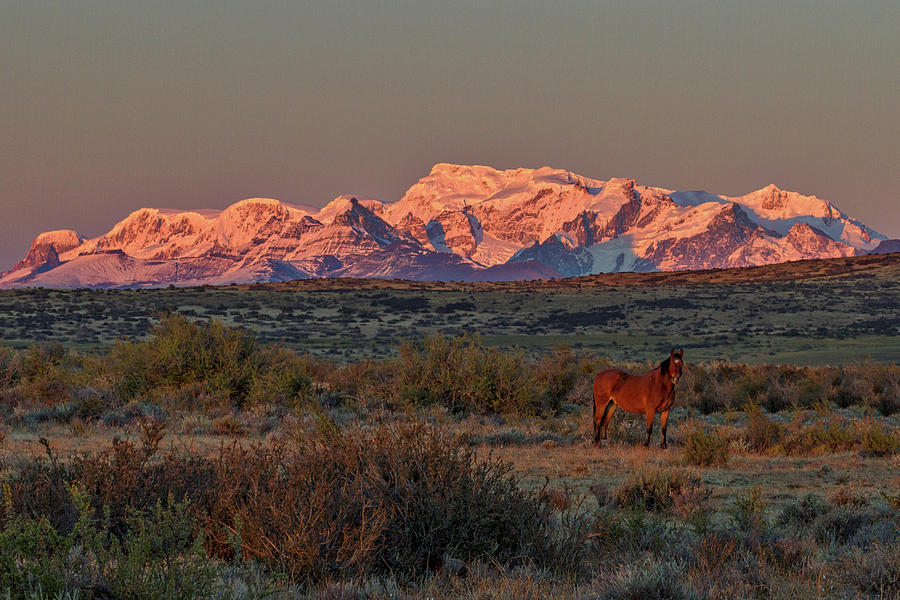 Ranch Dawn - Patagonia Photograph by Stuart Litoff