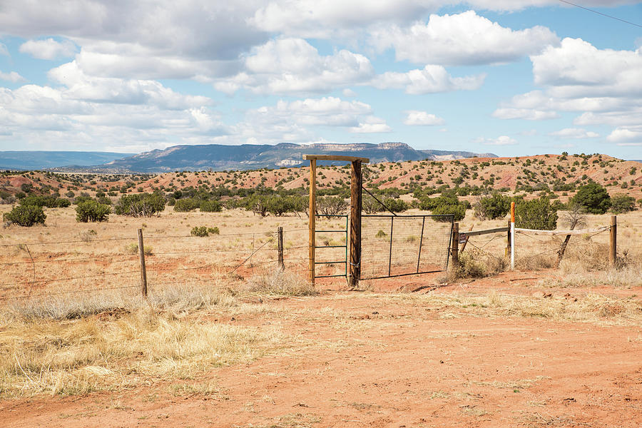 Ranch Gates Photograph by Tom Cochran