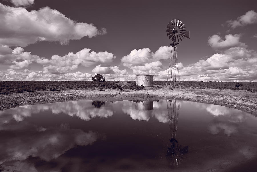 Nature Photograph - Ranch Pond New Mexico by Steve Gadomski