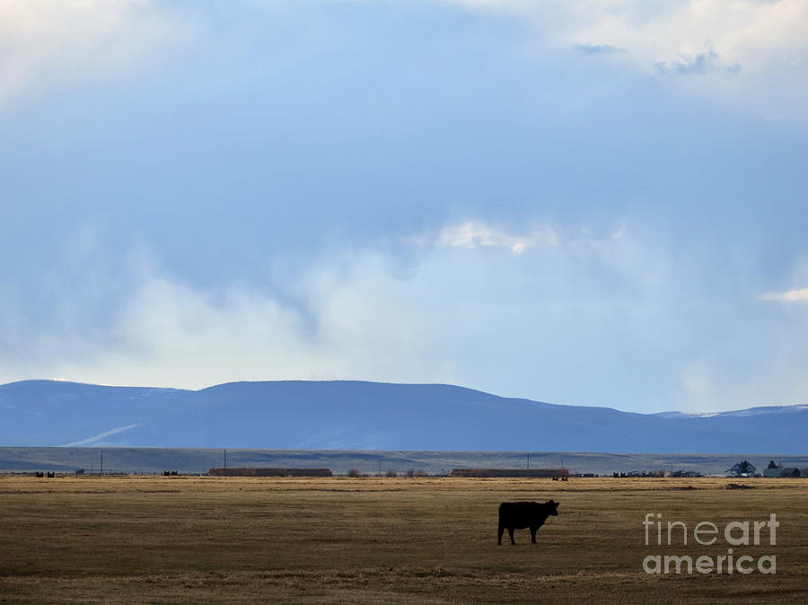 Ranch Scene In Montana Photograph