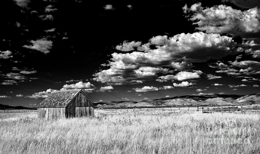 Ranch Scene Infrared Style Photograph by Dianne Phelps