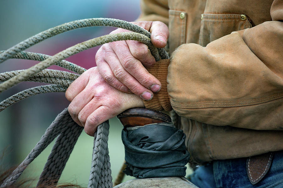 Ranching Hands Photograph by Todd Klassy