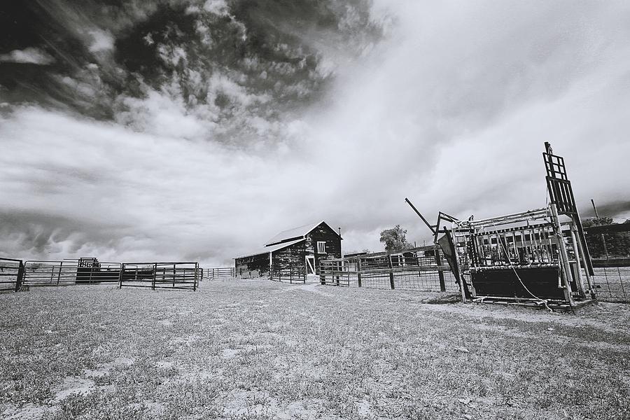 Ranchscape Photograph by Amanda Smith