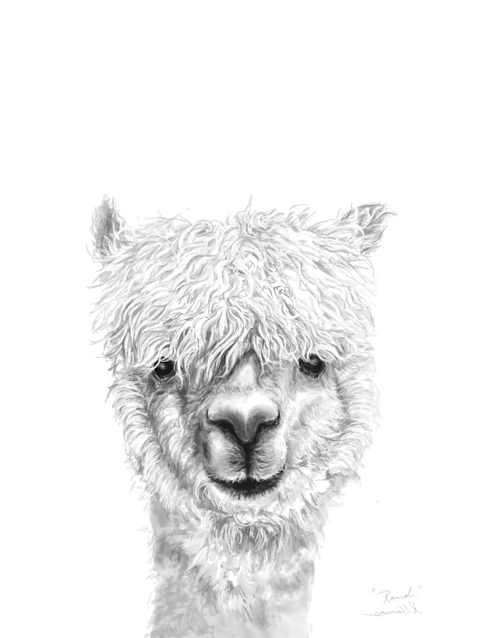 Llama Drawing - Randi by Kristin Llamas