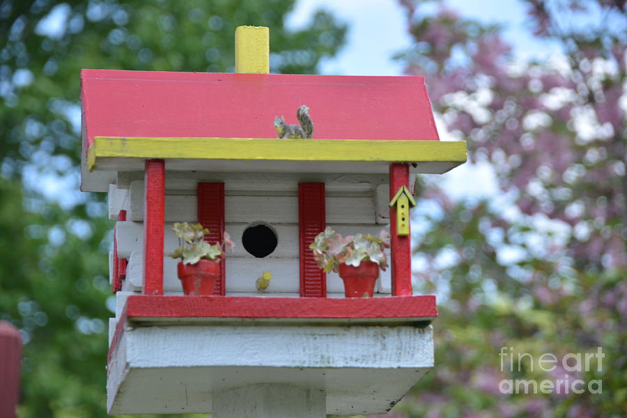 Random Handmade Bird House - Helen, GA Photograph by Adrian De Leon Art and Photography