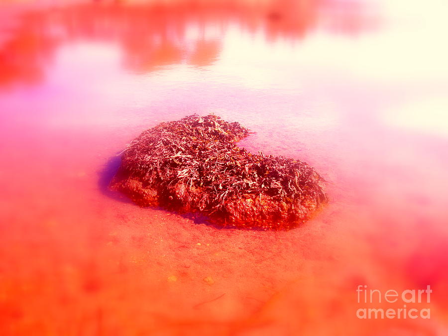 Impressionism Photograph - Random Red Heart by Sybil Staples