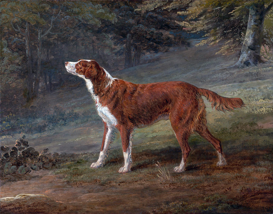 Ranger a setter the property of Elizabeth Gray Painting by George Garrard