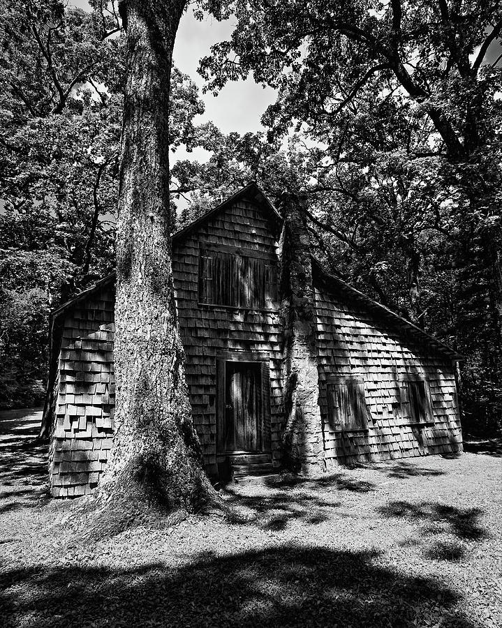 Ranger Station Photograph By April Copeland