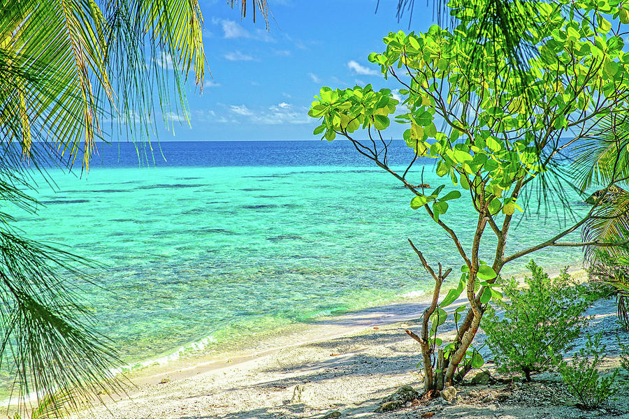 Rangiroa Beach View Dive Shop Photograph by Stulaine Studios - Pixels