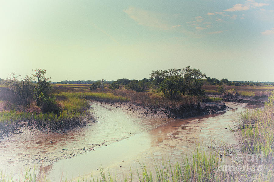 Rantowles Creek Southern Marsh Photograph