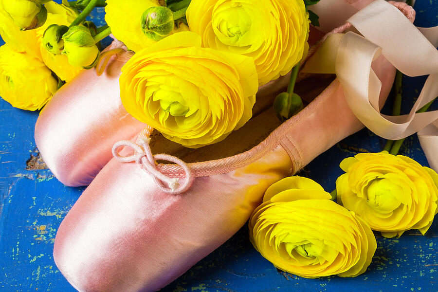 Ranunculus And Ballet Slippers Photograph by Garry Gay