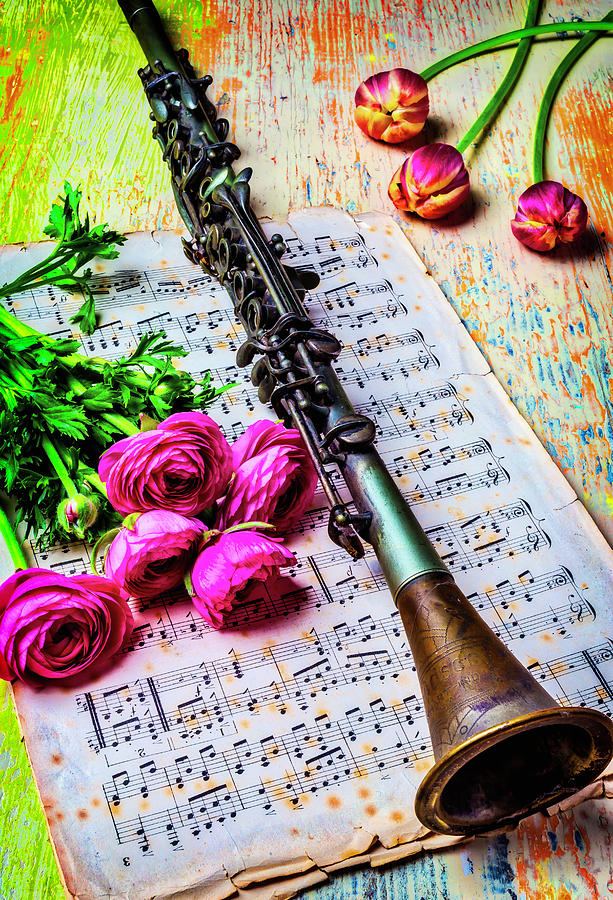 Ranunculus And Clarinet Photograph by Garry Gay