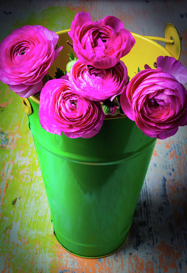 Ranunculus In Green Bucket Photograph by Garry Gay