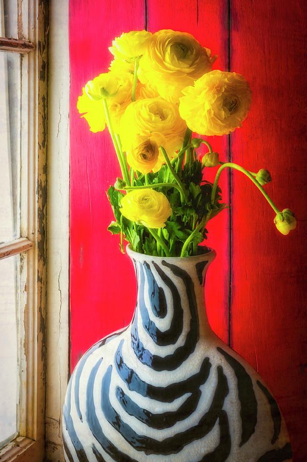 Ranunculus In Vase In Window Photograph by Garry Gay