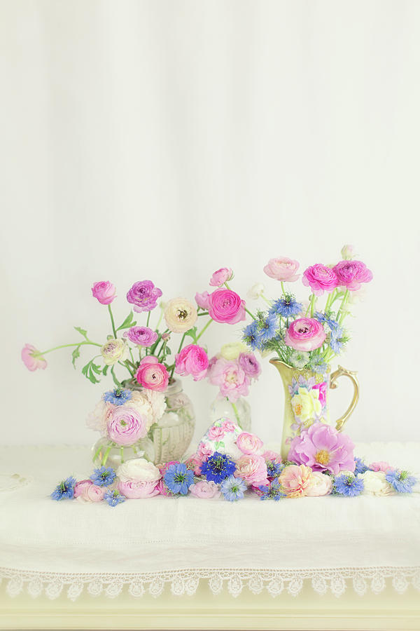 Ranunculus with Love in a Mist Photograph by Susan Gary