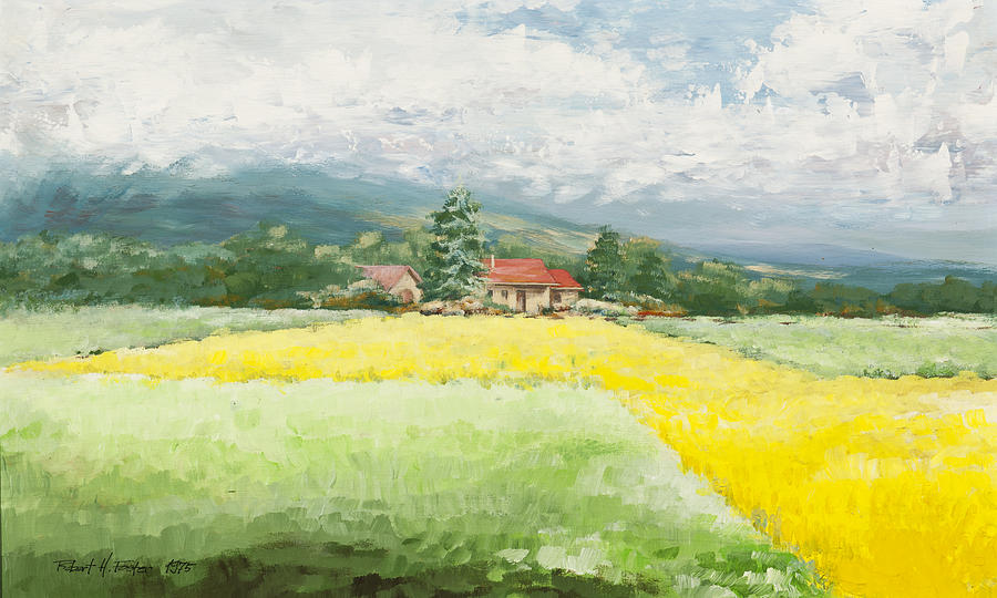 Fields Painting - Rape Seed Farm by Robert Foster Fields Painting - Rape Seed Farm by Robert Foster