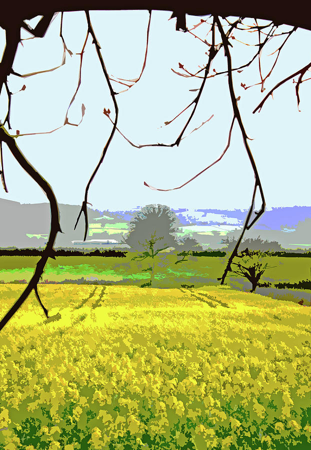 Rapeseed Field by Mary Castellan Rapeseed Field by Mary Castellan