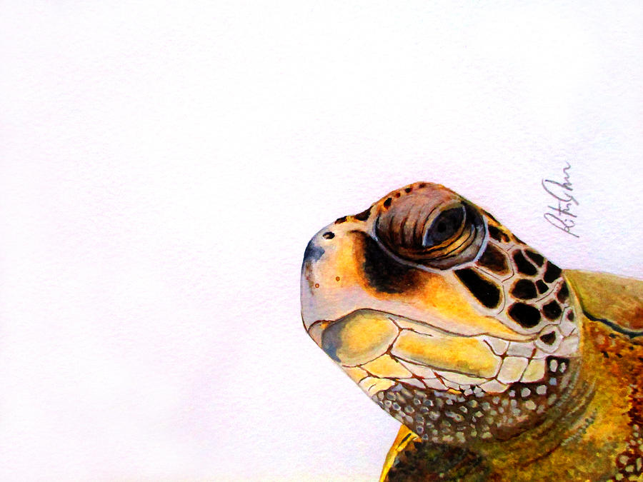 Turtle Drawing - Raphael by Rita Silva