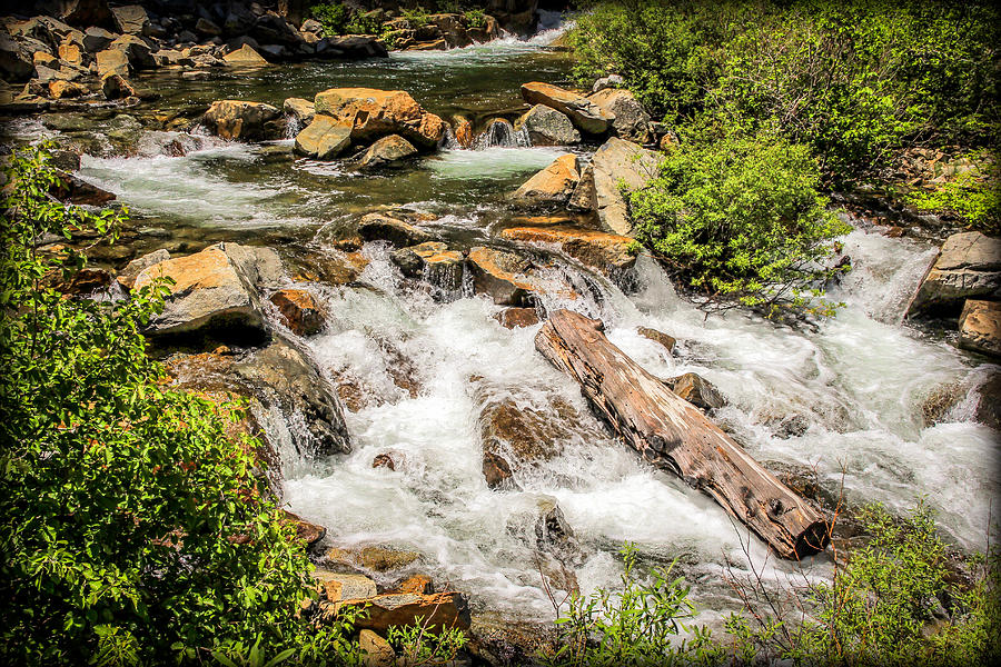 Rapid River Photograph by Randy Wehner
