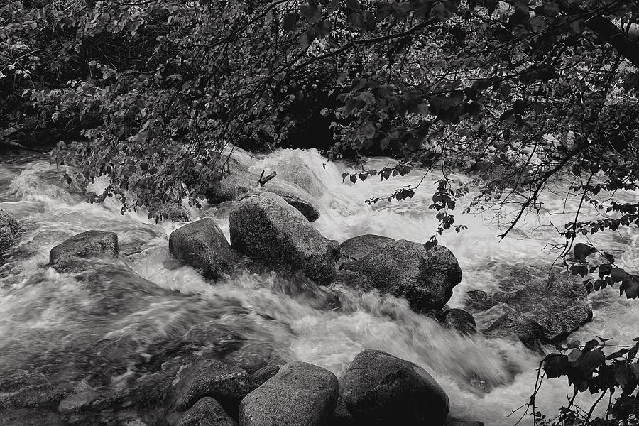 Rapid Water in Black and White  Photograph by Buck Buchanan