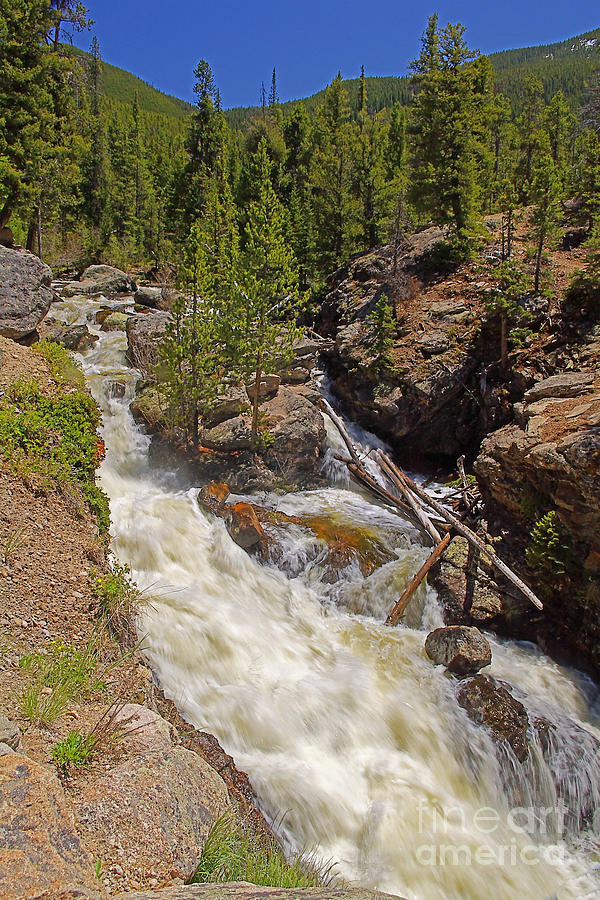 Rocky Mountain National Park Photograph - Rapids Above Adams Falls  by Rich Walter