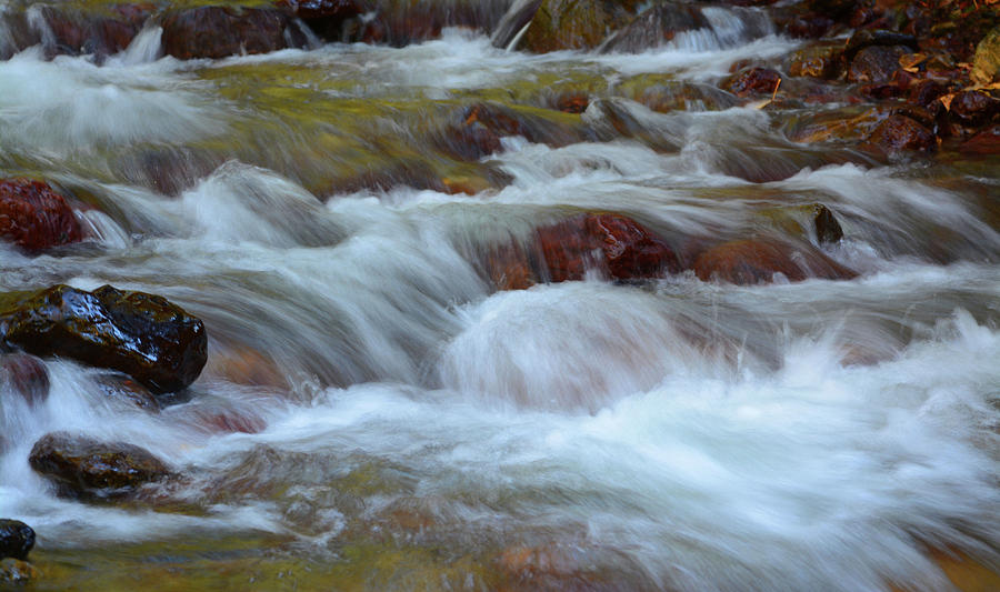 Rapids at Dawn Photograph by Whispering Peaks Photography