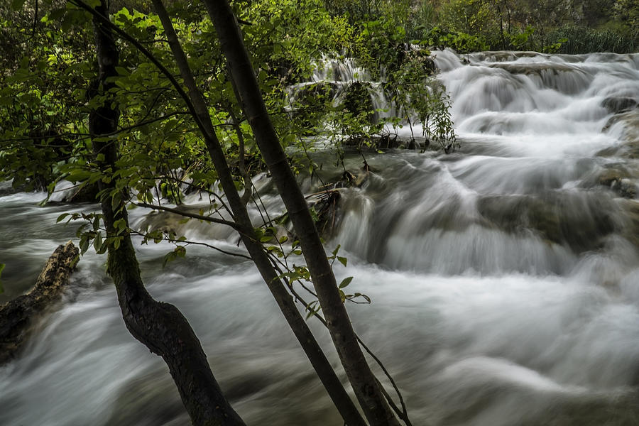Rapids in forest  Photograph by Sven Brogren