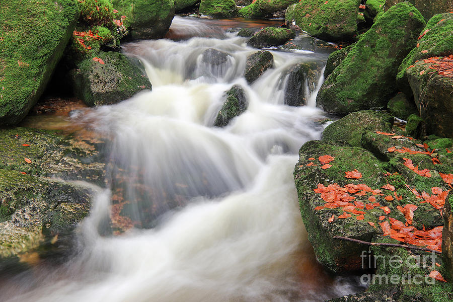 Rapids on Jedlova Creek, Jizera Mountains,  Czech Republic Photograph by Michal Boubin