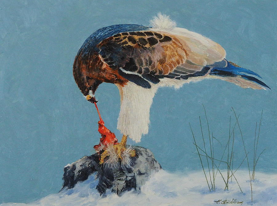 Raptor Painting by E Colin Williams ARCA