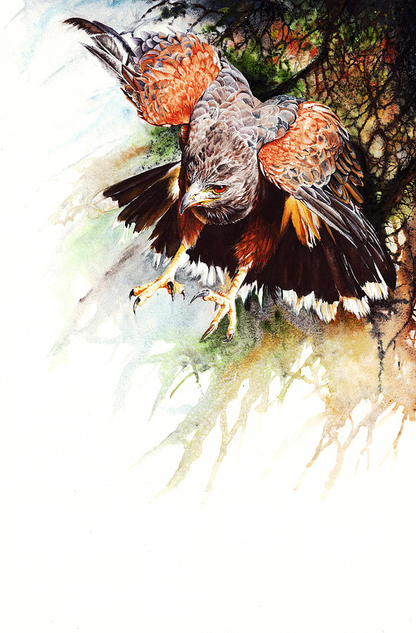Raptor Painting by Peter Williams