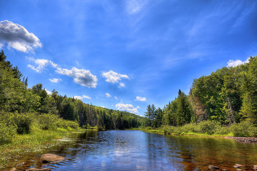 Raquette River Headwaters Photograph by David Patterson