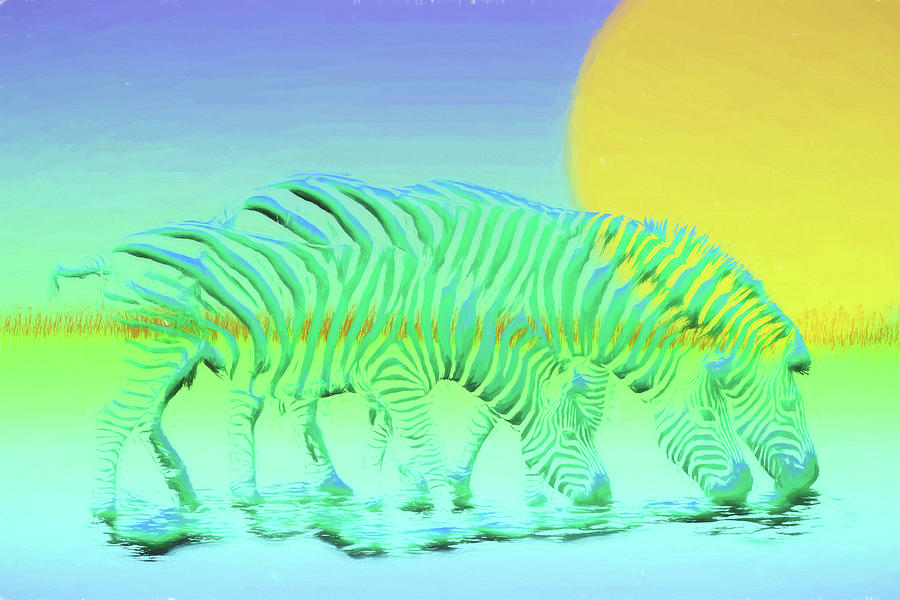 Rare Chameleon Zebra Digital Art by John Haldane