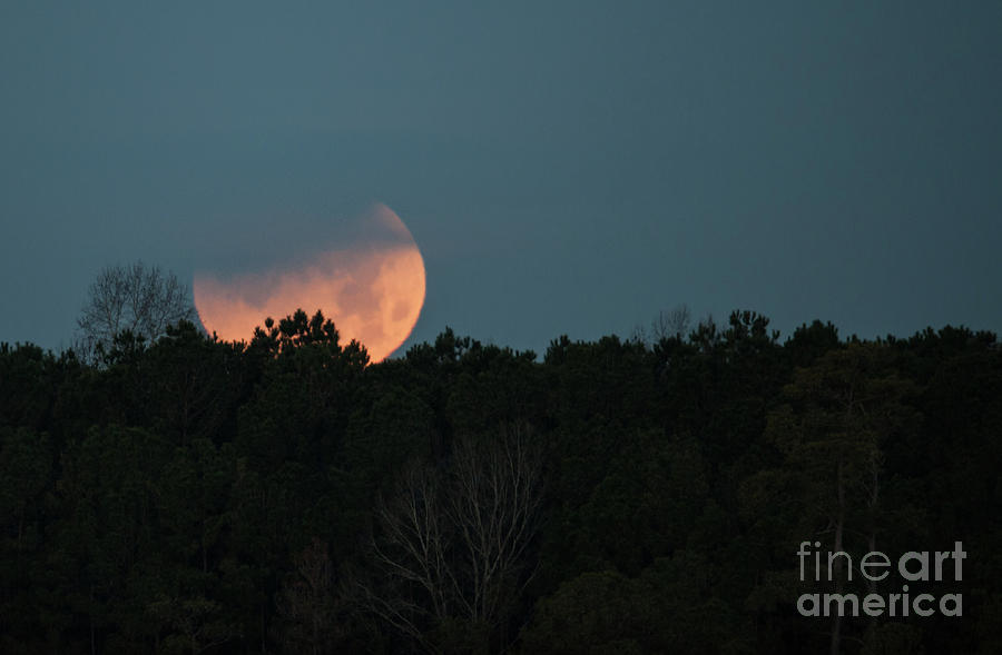 Rare Moon Event Photograph by Dale Powell