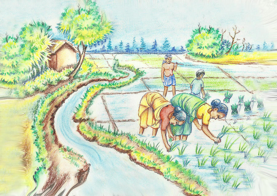 Farmers in Assam Pastel by Ringkhangshar Ramchiary - Fine Art America