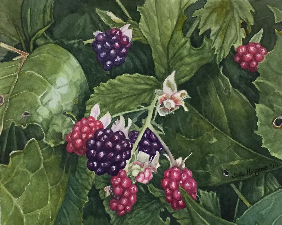 Rasberries from Central Park Painting by Jodi Higgins