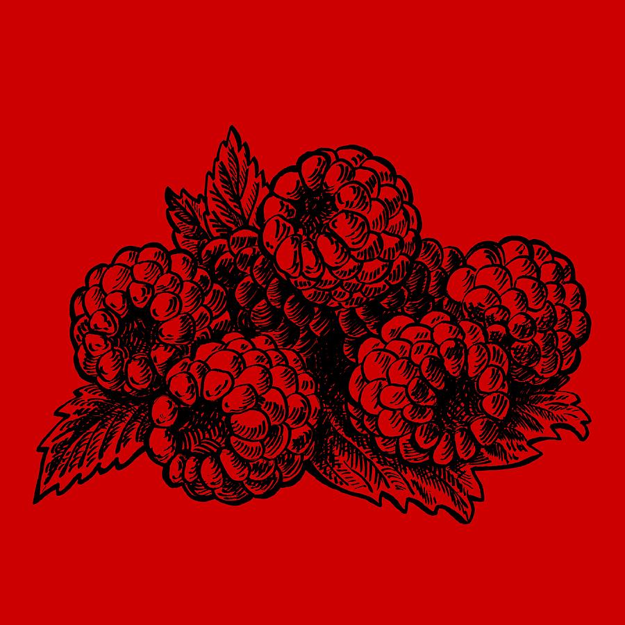 Raspberry Painting - Rasbperries by Irina Sztukowski