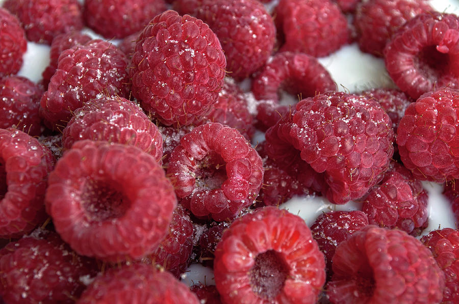 Raspberries and Milk - Sweet Treats Photograph by Cathy Mahnke