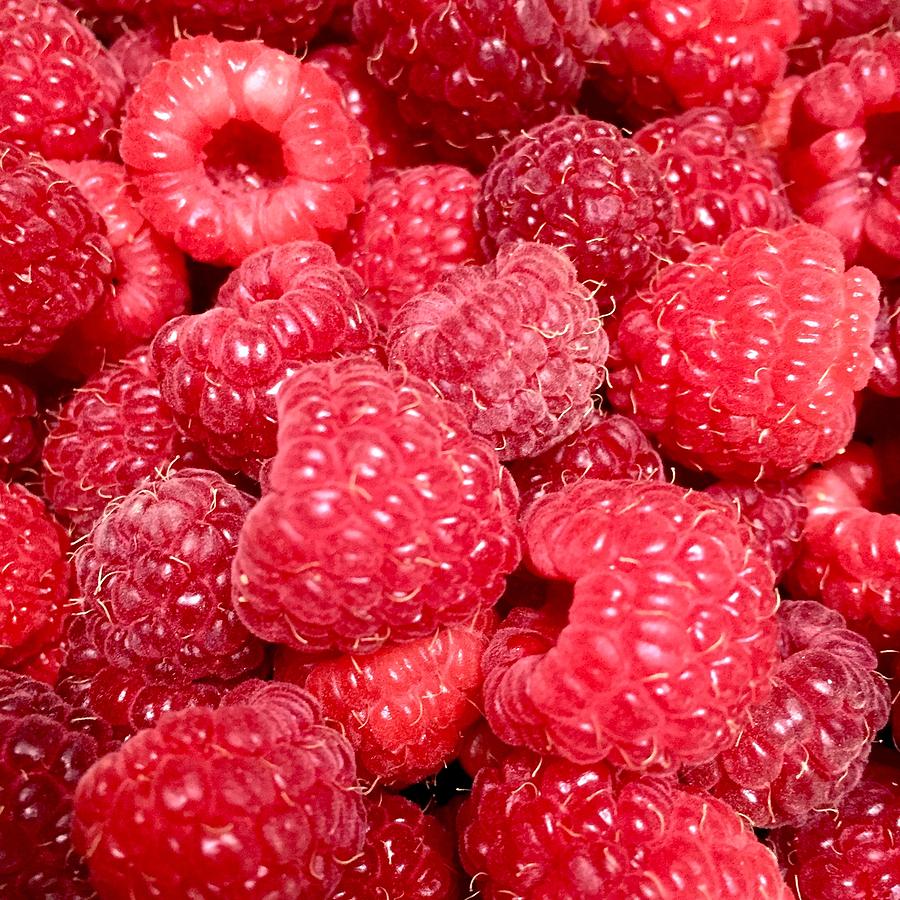 Summer Photograph - Raspberries by Cristina Stefan