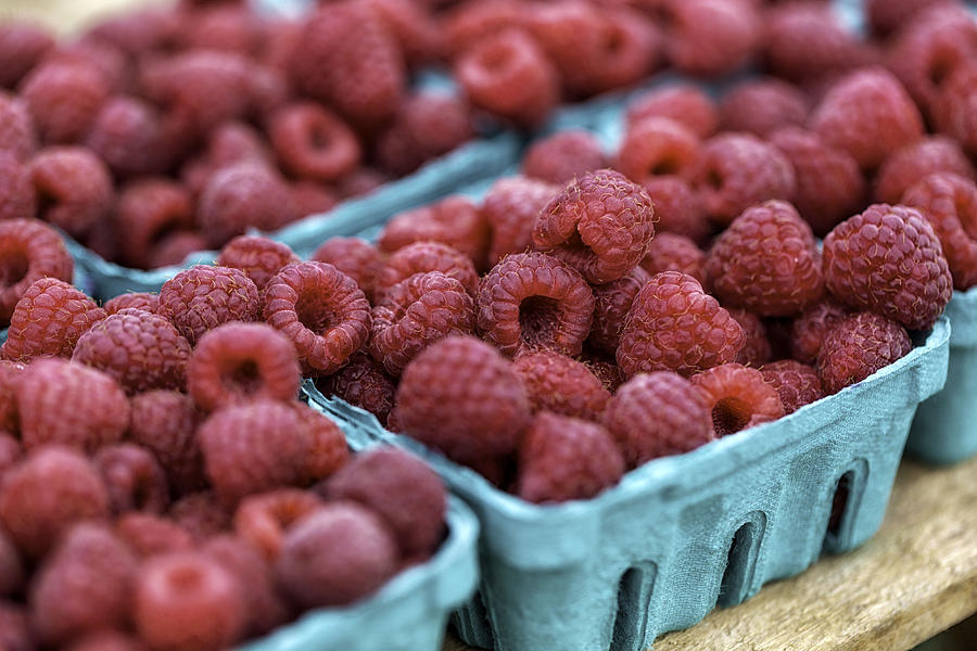 Raspberries Photograph by John Hoey
