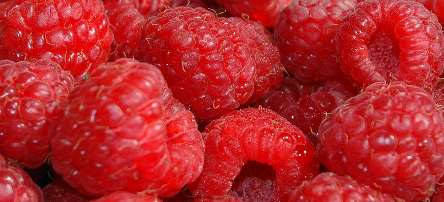 Raspberry Photograph - Raspberries by Mark Platt