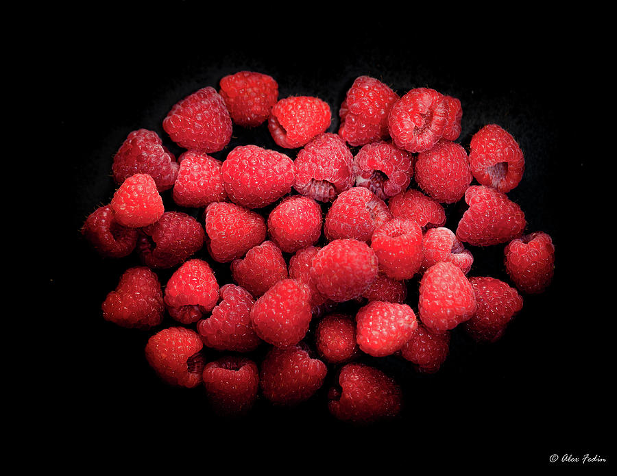 Raspberries on Black Photograph by Alexander Fedin