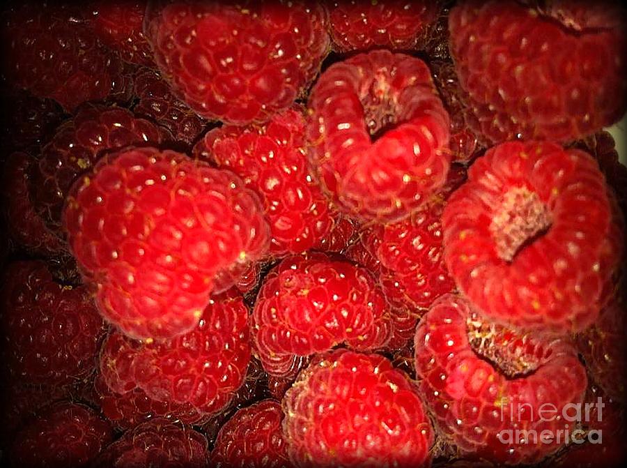 Raspberries Photograph by Sylvie Leandre