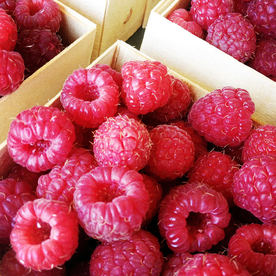 Raspberry Baskets Photograph by Lori Knisely