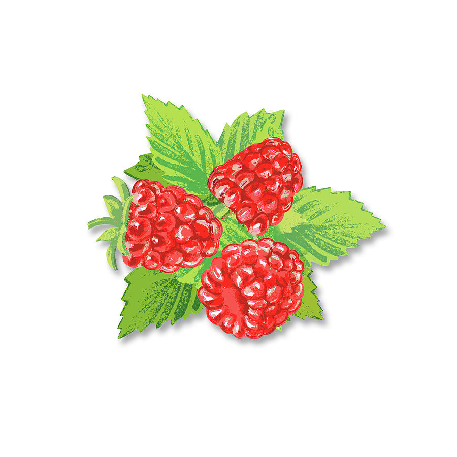 Raspberry Bunch  Digital Art by Irina Sztukowski
